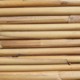 天井ヨシベニヤ　皮付よし